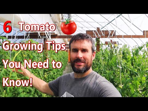How to Improve