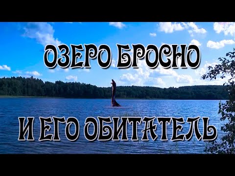 Кто Обитает в Озере Бросно? Кто Такой Бросня?