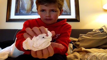 How to make a napkin levitate