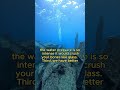 5 Terrifying Facts About The Deep Sea