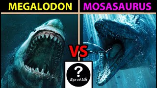 Mosasaurus (JW 2015) VS Megalodon (The Meg), con nào sẽ thắng #116 |Bạn Có Biết?