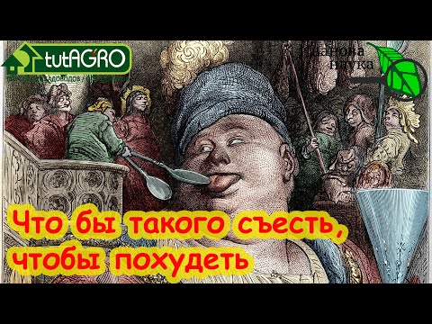 Главный продукт для похудения: вкусный, сытный, полезный и можете вырастить сами, ешьте его на ночь!