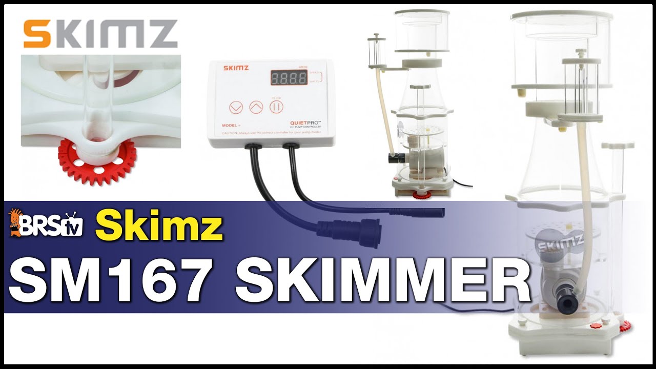 Skimz SM167 DC Protein Skimmer: Why this skimmer should be on your