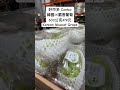 好市多Costco韓國 麝香葡萄600公克479元Korean Muscat Grape Foodies Costco 好市多 水果 葡萄 送禮 Chinesenewyear 好市多Costco韓國 麝香葡萄600公克479元Korean Muscat Grape Foodies Costco 好市多 水果 葡萄 送禮 Chinesenewyear