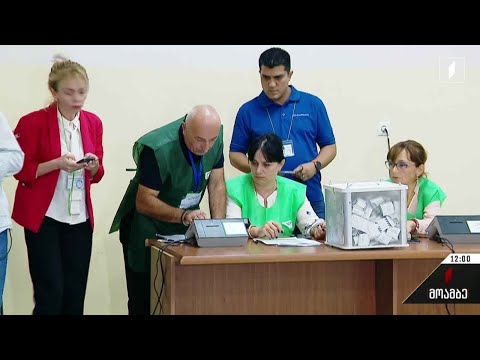 საკრებულოს შუალედური არჩევნები სენაკში - პირველადი შედეგები