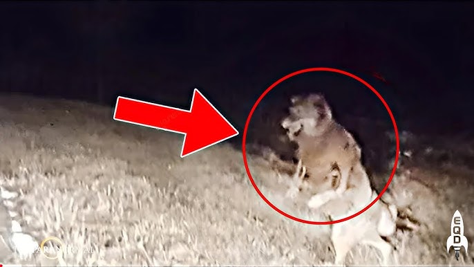 This Man Filmed Something No One Can Believe! - YouTube