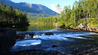 Beautiful river in the Northern Norwegian forest