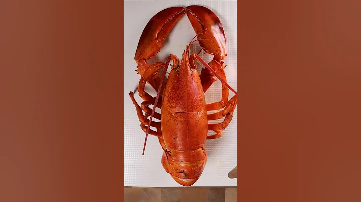 How to Breakdown a Lobster