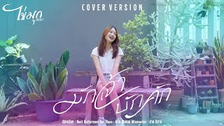 มักเจ้าบักคัก-ไข่มุก พิชญา [Cover Version]