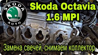 :     1.6 MPI (BSE, BCS, BSF)    Skoda Octavia A5