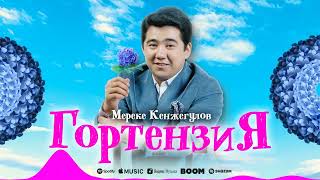 Мереке Кенжегулов - Гортензия (аудио) screenshot 4