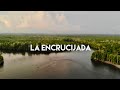 El impresionante laberinto natural en la costa de Chiapas - Biosfera la Encrucijada