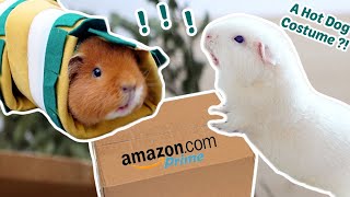 My Guinea Pigs Test Popular Amazon Products