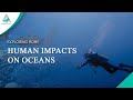 Positive and Negative Human Impact on Ocean Systems