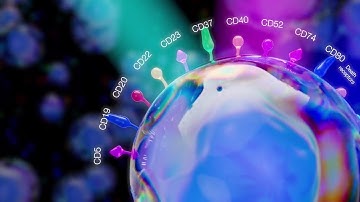 Spectral Flow Cytometry - Follow on video