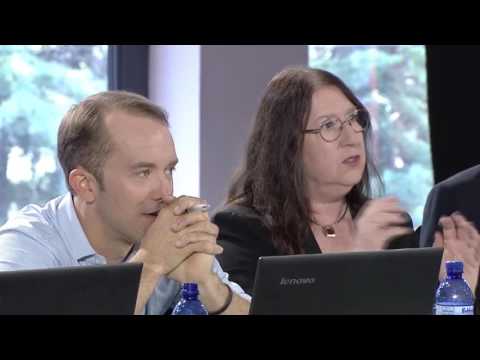 HIPPO  ,,სტარტაფ საქართველოს\" კონკურსზე