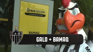 Galo + Bamaq: Orgulho de vestir essa camisa!