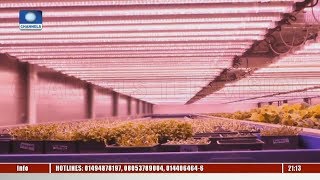 German Company Producing Lettuce Using Artificial Light | Eco@Africa |