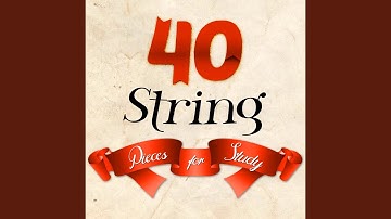 Quartet in D Minor, Op. 76, No. 2, "Fifths": II. Andante o più tosto allegretto