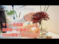 【アラ還専業主婦vlog】大物を手放す/1000捨てチャレンジ中の玄関、リビング、キッチン収納/健康第一の食卓/14才9ヶ月シニア犬と日々の暮らし