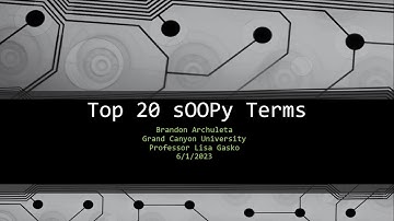 Top 20 "sOOPy" Terms