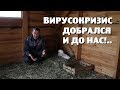 Как ВИРУСОКРИЗИС изменил нашу деревенскую жизнь?