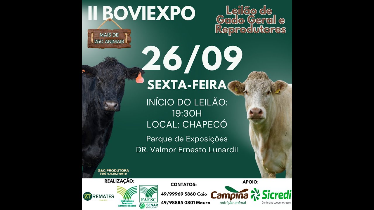 BOVIEXPO 2ª edição, Chapecó, Leilão de gado geral e Reprodutores, dia 26/09, sexta-feira. 