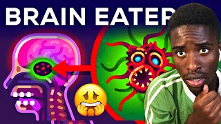 Eats Your Brain Out???? The Most Horrible Parasite: Brain Eating Amoeba