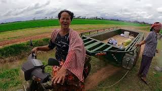 សកម្មភាពខ្លះៗ បុណ្យសាមគ្គី ត្រពាំងពោរ សូមអោយស្រូវទទួលបានផលកាន់តែច្រើន!