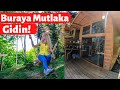 Dağ Dibinde 24 m² Büyüleyici KÜÇÜK EV (Bungalov) Turu | Tiny House Türkiye