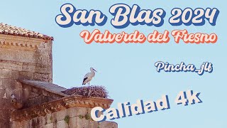 San Blas 2024. Valverde del Fresno. Resolución 4K