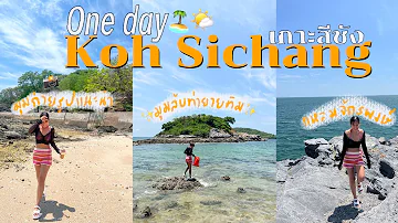1 Day Vlog | เที่ยวเกาะสีชัง Koh Sichang 2024