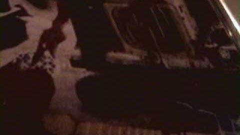 PWM - PWM/SlipperyBorrie (music video)