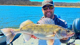 Fishing BIG river walleyes on Pool 4: Mississippi Walleye Fishing