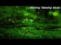 Relaxing Music: Beautiful Sounds For Morning Calm