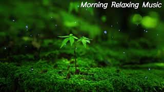 Relaxing Music: Beautiful Sounds For Morning Calm