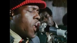 Junior Wells & Buddy Guy - live at Theresa's [Extended] 1972