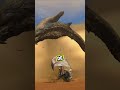 ¿Cómo influyen los Dragones Ancianos en la ecología de Monster Hunter Tri?