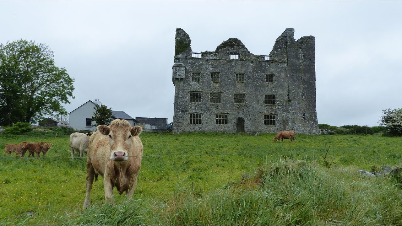 Indicated — Faunarooska (rathborney Ed)