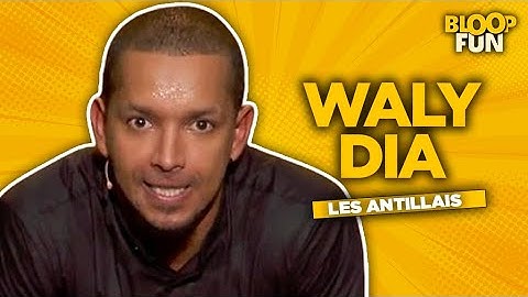Waly Dia - LES CLICHÉS SUR LES ANTILLAIS - Garde la pêche - KS