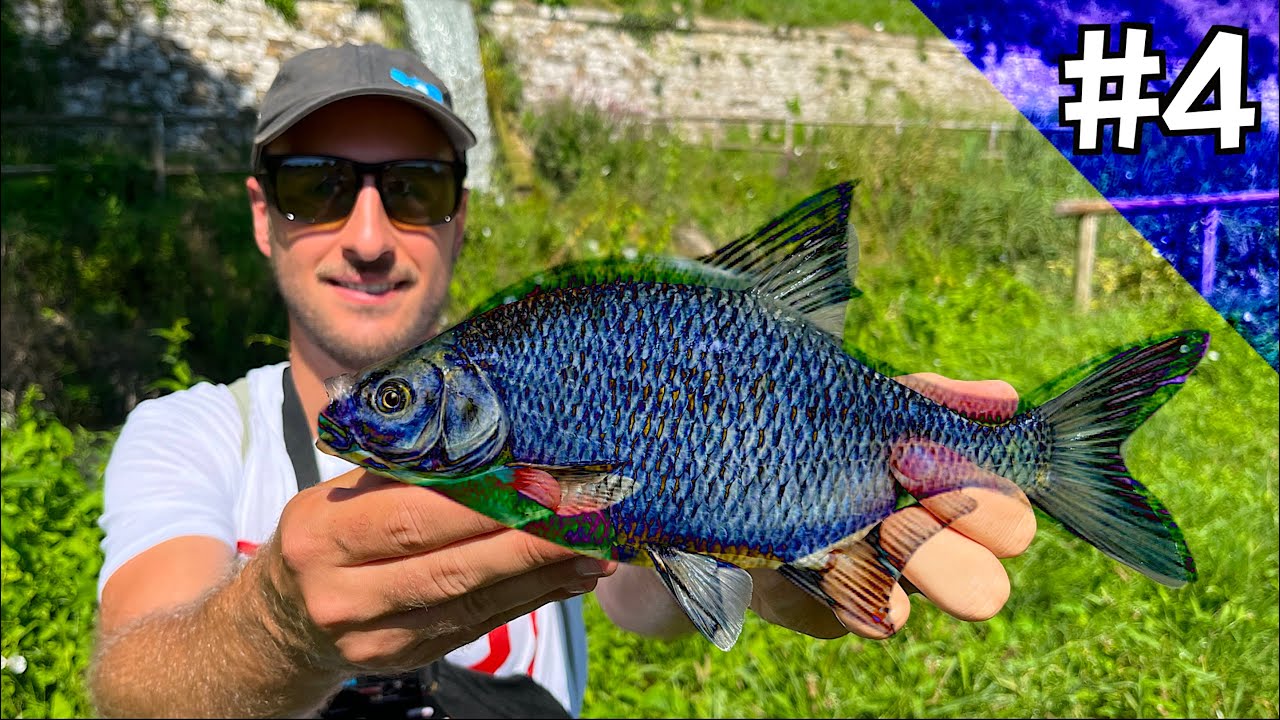 Accumulazione Delle Mosche Per Pesca Di Mosca Immagine Stock - Immagine