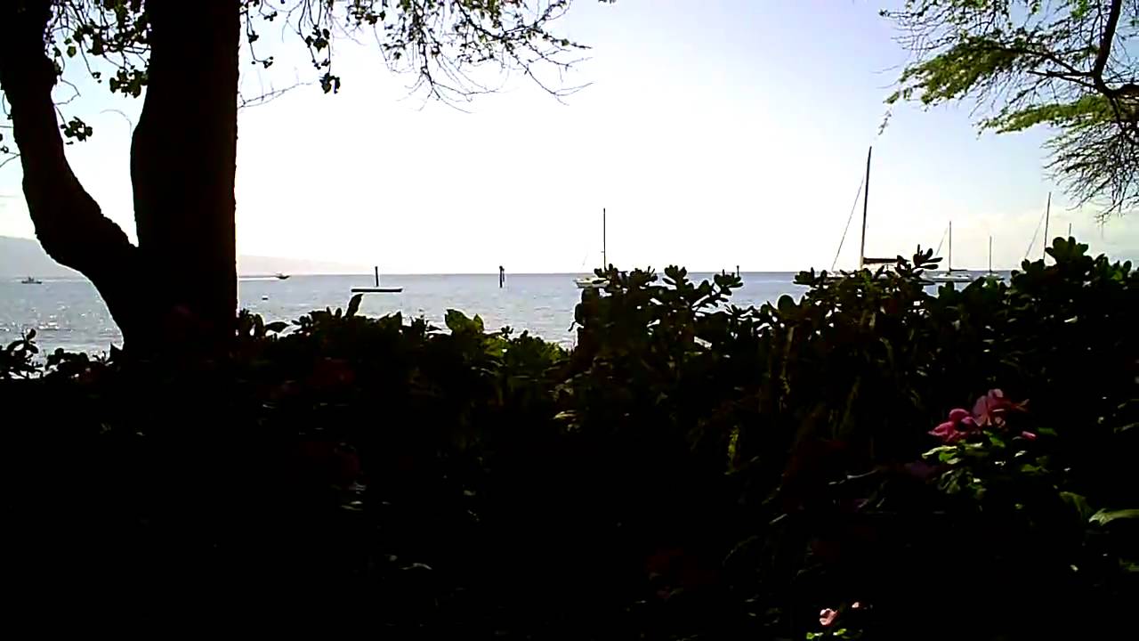 View frm table at Aloha Mixed Plate.AVI