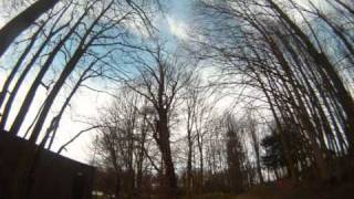 GoPro 2011: Time Lapse Tree Removal