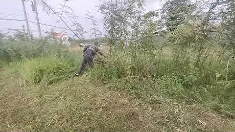 Máy cắt cỏ trục băm đường cắt 1 mét động cơ xăng GB460