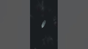 سورة الرحمن #رمضان #اكسبلور #karem #راحة_نفسية #quran #لايك #جابر القيطان #الرحمن #صلوا_على_النبي