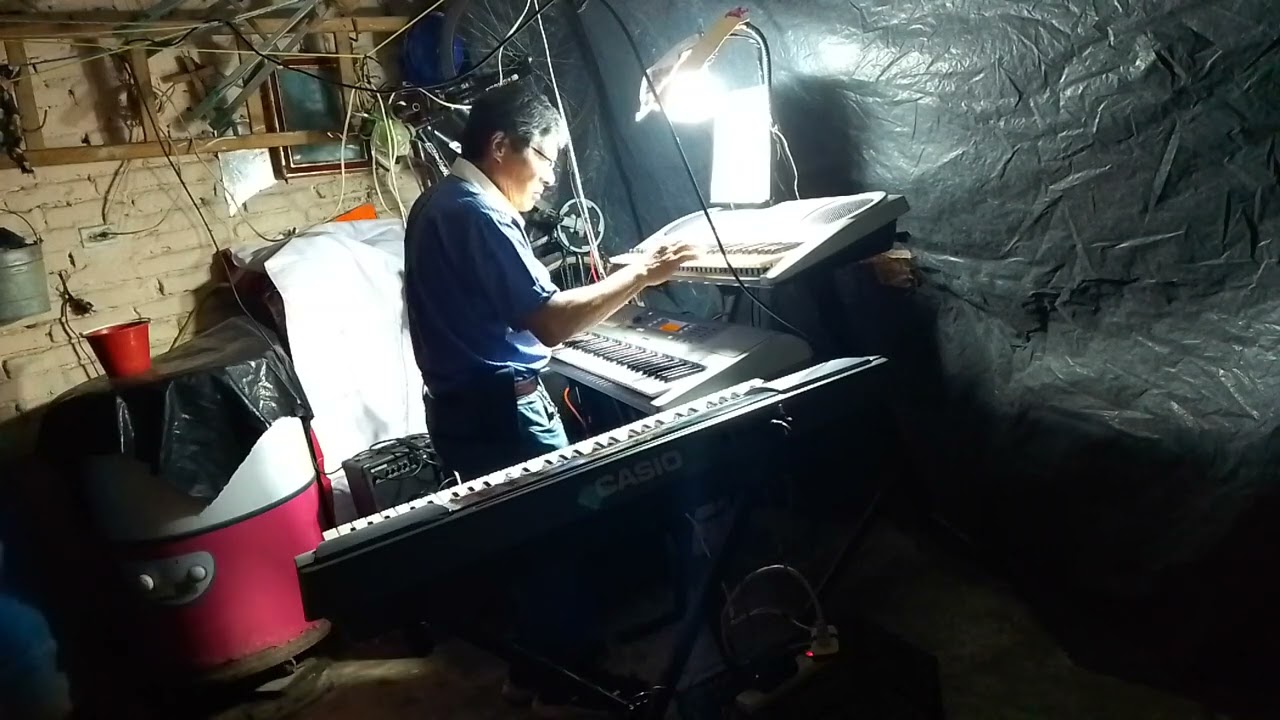 Llolanda toca  jors y sus teklad