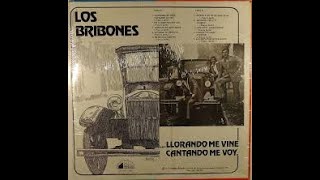 LOS BRIBONES  -   Me Haces feliz si sonries  -