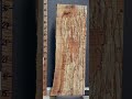 Musical Spalted Curly Maple With Live Edge