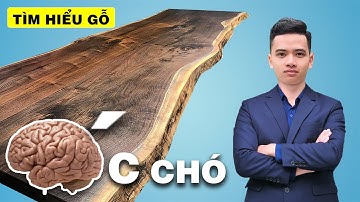 Tìm Hiểu Về Gỗ Óc Chó ?