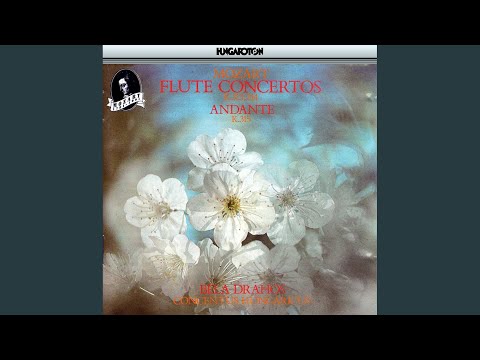 Andante for Flute